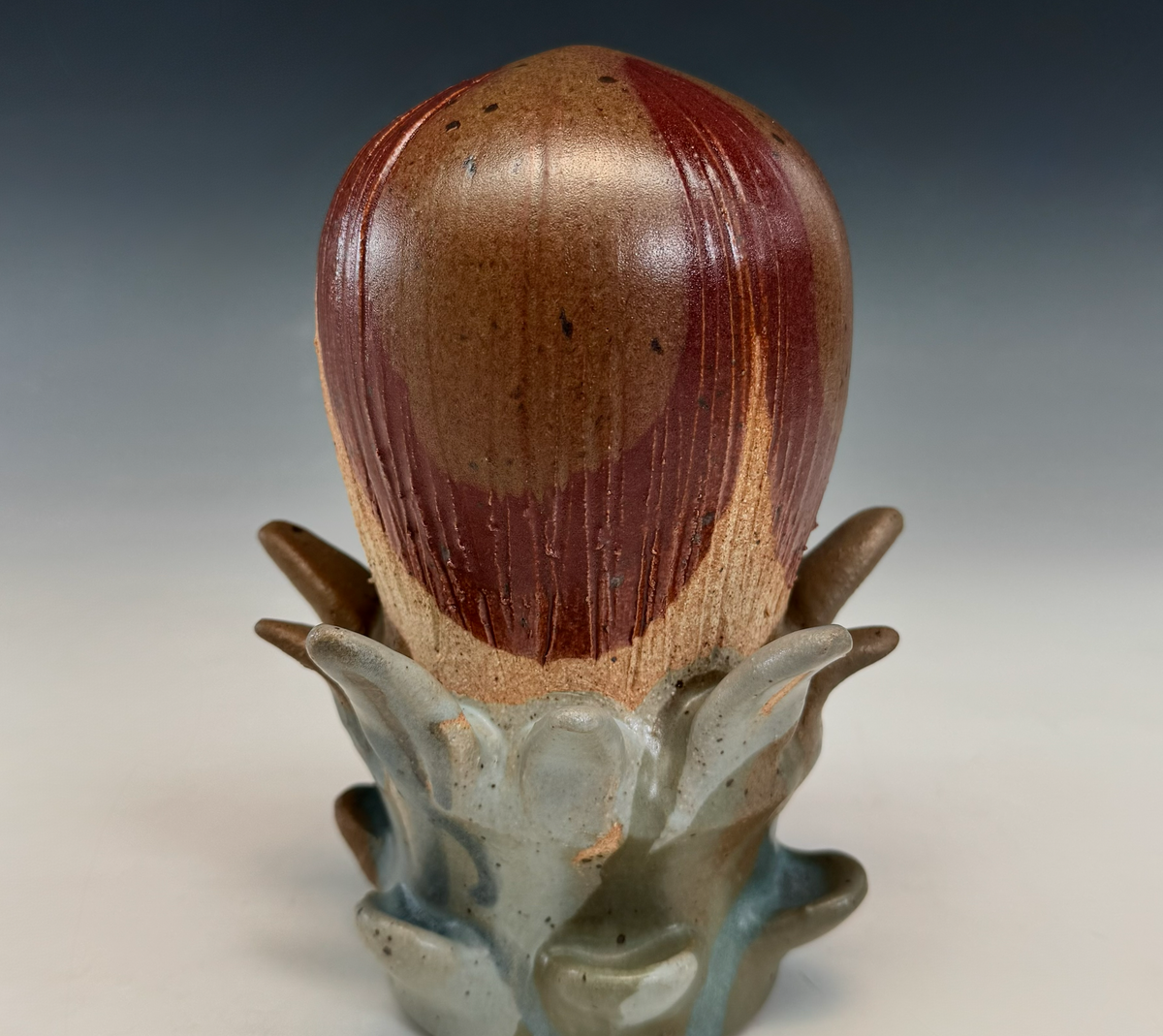Etlingera