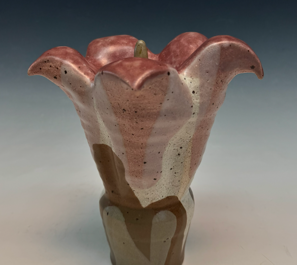 Floripondio rosa